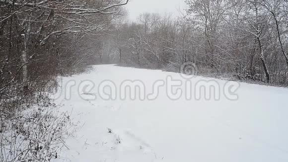 冬季乡村景观视频的预览图