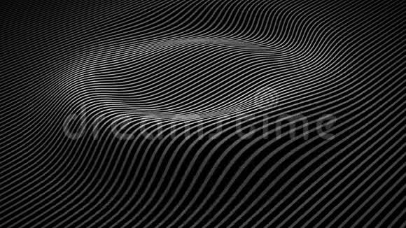 带有波浪线的抽象背景动画从霓虹灯线的表面涟漪无缝环动画视频的预览图
