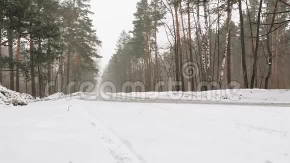 降雪时的冬季森林景观视频的预览图