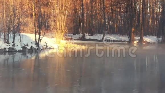 冬天森林河上的雾薄雾笼罩着冬天的河流冬季森林河流视频的预览图