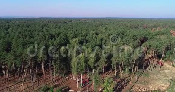 砍伐老松林砍伐鸟瞰工业规模的砍伐森林砍伐森林和视频的预览图