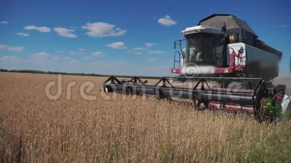 联合收割机收割小麦慢动作视频生活方式农业收获概念联合收割机视频的预览图