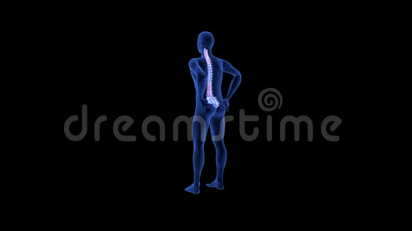 脊柱疼痛蓝色人体解剖体三维扫描呈现在黑色背景上视频的预览图