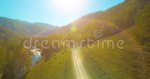 在阳光明媚的夏季早晨低空飞行在带岩石的新鲜快山河上视频的预览图