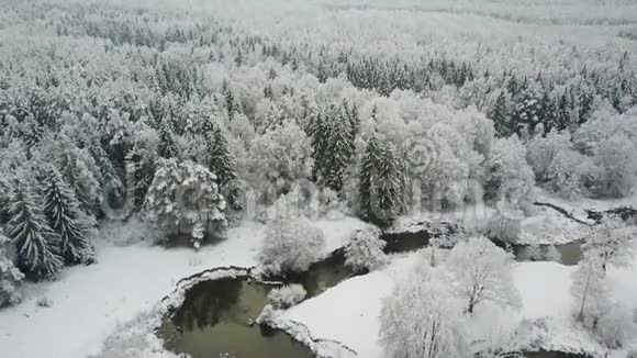 4K北部冬季冻林野生蜿蜒河流的空中全景视频的预览图