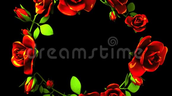黑色文本空间的红玫瑰框架视频的预览图