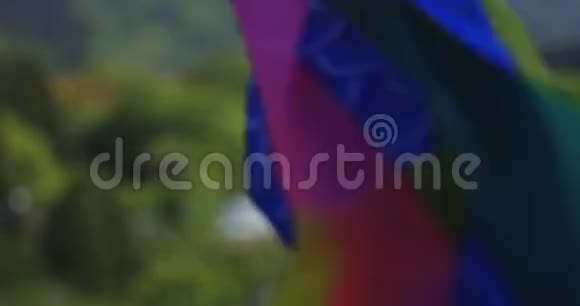 伊巴拉基大桥鲤鱼流光溢彩白天阳光明媚视频的预览图