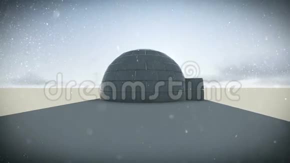 伊格洛在雪天的录像里视频的预览图
