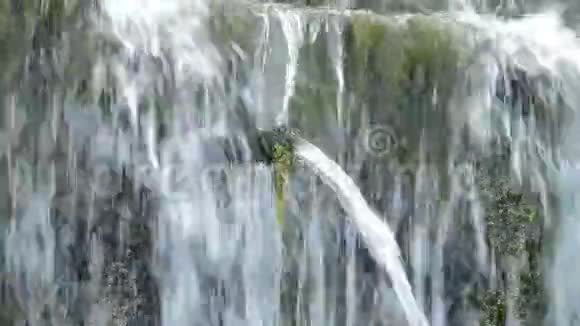 天然泉水中的水流和排水管道视频的预览图