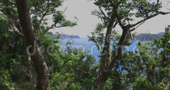 大岛岛上的马南崎海角视频的预览图