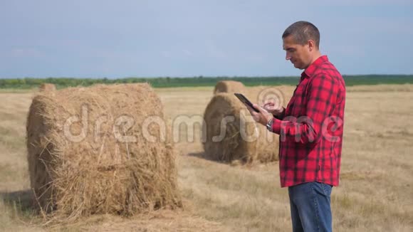 智慧农业理念一个农民工人在研究干草堆的生活方式一个领域的数字平板电脑慢慢视频的预览图