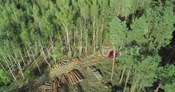 森林采伐木材收割机特种设备森林采伐视频的预览图