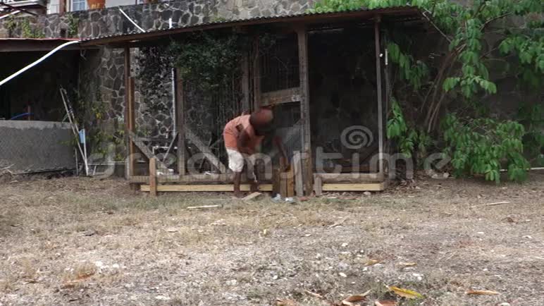 在加勒比海修狗笔视频的预览图