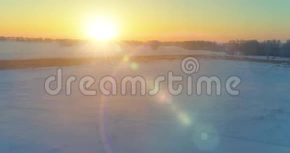 无人驾驶飞机观看寒冷的冬季景观北极的田野覆盖着霜雪的树木和清晨的阳光视频的预览图