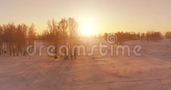 无人驾驶飞机观看寒冷的冬季景观北极的田野覆盖着霜雪的树木和清晨的阳光视频的预览图