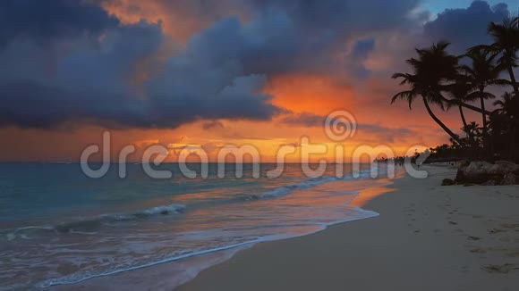 天堂般的热带岛屿海滩景观视频的预览图