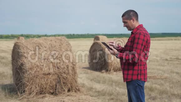 智慧农业理念一名农民工人在数字平板电脑上的田野里研究干草堆慢速视频视频的预览图
