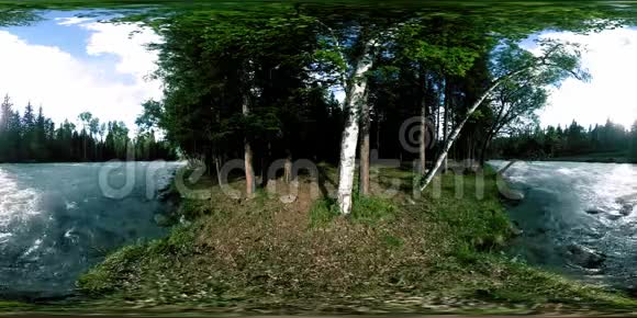 360一片野生森林的VR虚拟现实松林小快寒山河国家公园视频的预览图