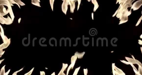 在黑色背景下隔离的火架火焰视频的预览图