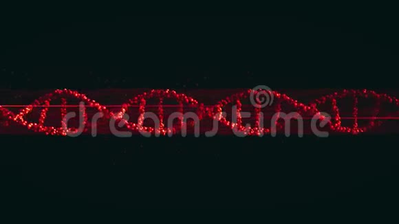 红色DNA分子无缝环视频的预览图