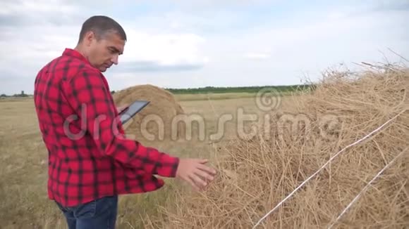 智慧农业理念一个农夫在数字平板电脑上的田野里研究干草堆慢动作录像男性视频的预览图