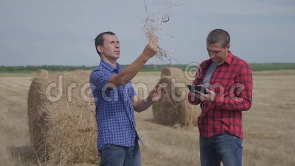 团队农业智慧农业理念两名农民工人在数字平板电脑上研究干草堆视频的预览图