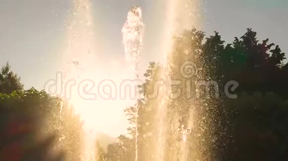 喷泉和阳光视频的预览图
