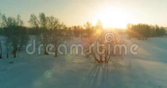 无人驾驶飞机观看寒冷的冬季景观北极的田野覆盖着霜雪的树木和清晨的阳光视频的预览图