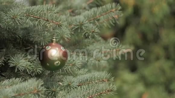 在模糊的黑色背景下装饰圣诞树视频的预览图