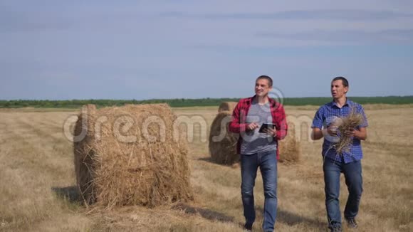 团队农业智慧农业理念两个男的农民工人在数字上的田野上走在干草堆上视频的预览图