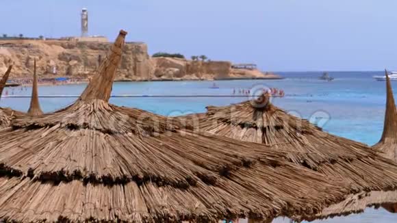 热带海滩在珊瑚礁附近的红海上有太阳伞埃及视频的预览图