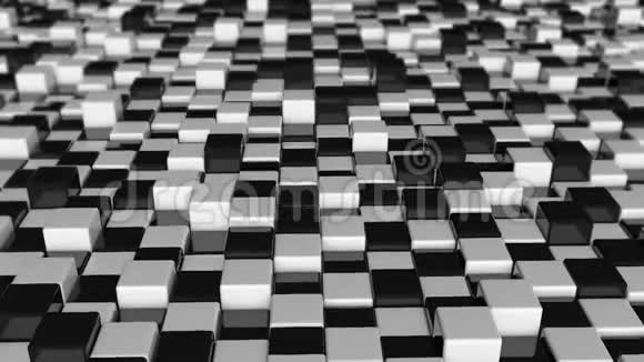 立方体的运动未来主义背景与黑白立方体有反射的立方体视频的预览图