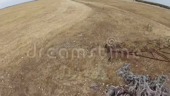 干旱中农村农场收割机的空中镜头视频的预览图