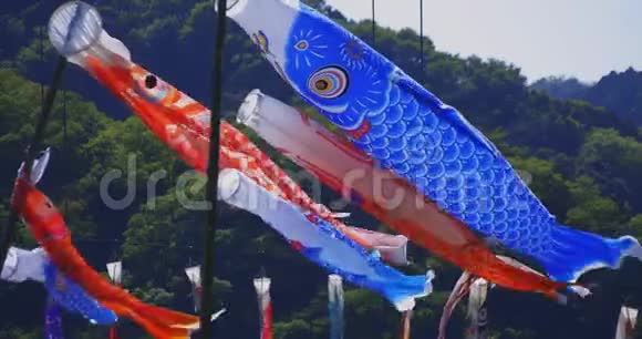 伊巴拉基大桥鲤鱼流光溢彩白天阳光明媚视频的预览图