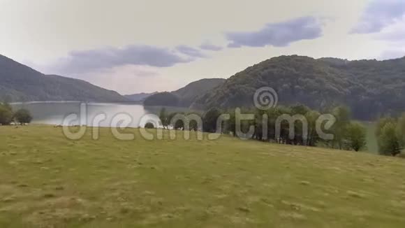 飞越森林环绕的山湖视频的预览图