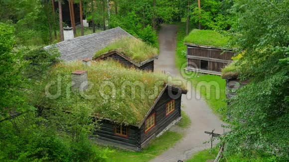 美丽的诺瓦吉安村房屋有绿草屋顶挪威4K视频的预览图
