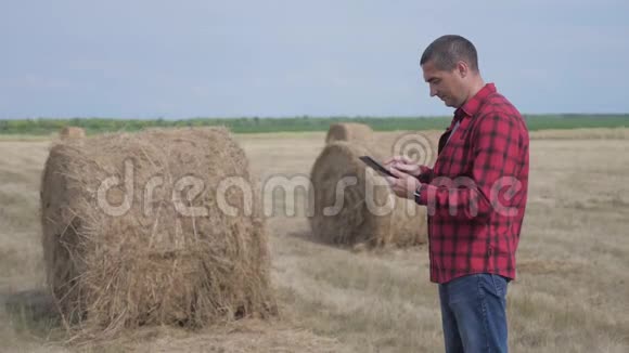 智慧农业理念一个工人农民在数字平板电脑上的田野里研究干草堆慢动作视频的预览图
