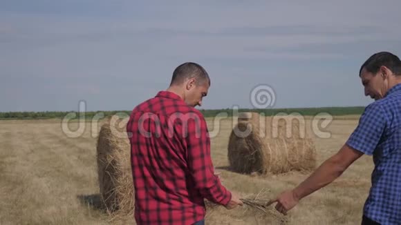 团队农业智慧农业理念两个男的农民工人在田野里散步研究干草堆的生活方式视频的预览图
