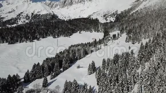 降雪后空中无人机可以看到覆盖着白雪的树林意大利阿尔卑斯山视频的预览图