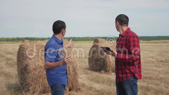 团队农业智慧农业理念两个男子农民工人在野外生活方式的干草堆上研究数字视频的预览图