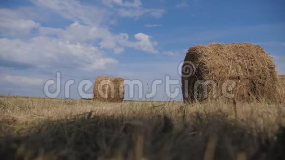 农业养殖概念慢动作视频在美丽的蓝色多云的天空下麦田上的干草堆生活方式视频的预览图