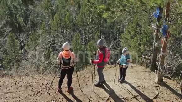 女人在大自然中行走北欧女孩和孩子使用跋涉棒和北欧杆背包家庭旅行视频的预览图