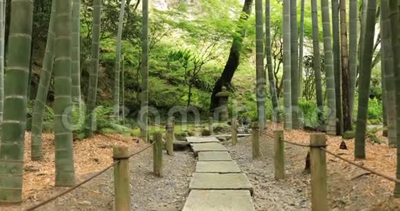 神奈川镰仓日本花园视频的预览图