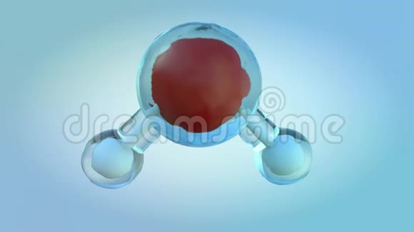 动画水分子分子的科学背景3D视频的预览图