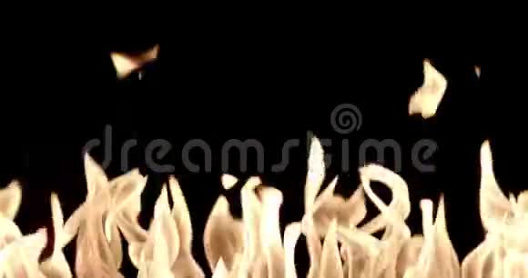 火焰隔离在黑色背景上视频的预览图
