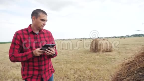 智慧农业理念农夫在数字生活平板电脑上的田野里研究干草堆慢动作视频的预览图