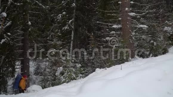 背包客在冬季森林徒步旅行视频的预览图