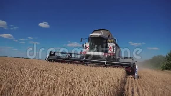 结合收割机收割小麦的生活方式慢动作视频农业收获概念田间联合收割视频的预览图