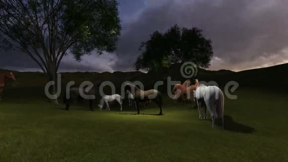 夜牧场的场景在夜晚的灯光下在牧场上放牧的马群视频的预览图