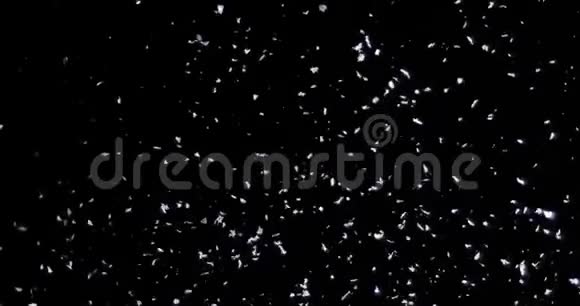 在黑色背景下飘落的雪视频的预览图